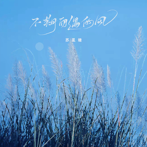 ChinaHD❌❌❌偷拍
